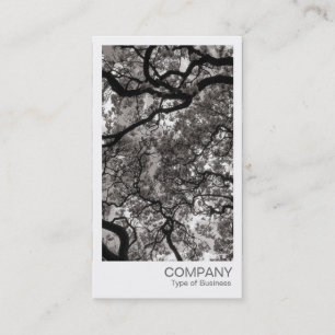 Instant Photo - Magnolia Trees Business Card