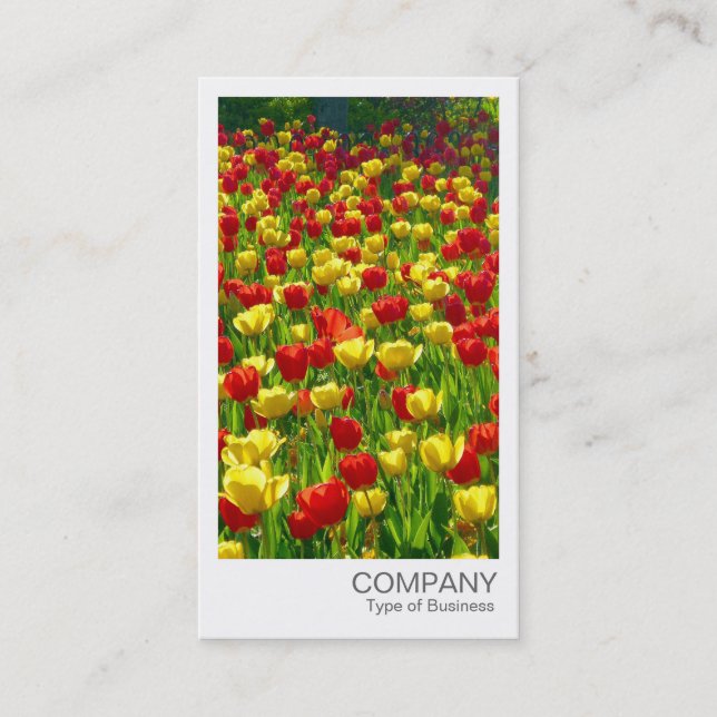 Instant Photo - Red and Yellow Tulips Business Card (Front)