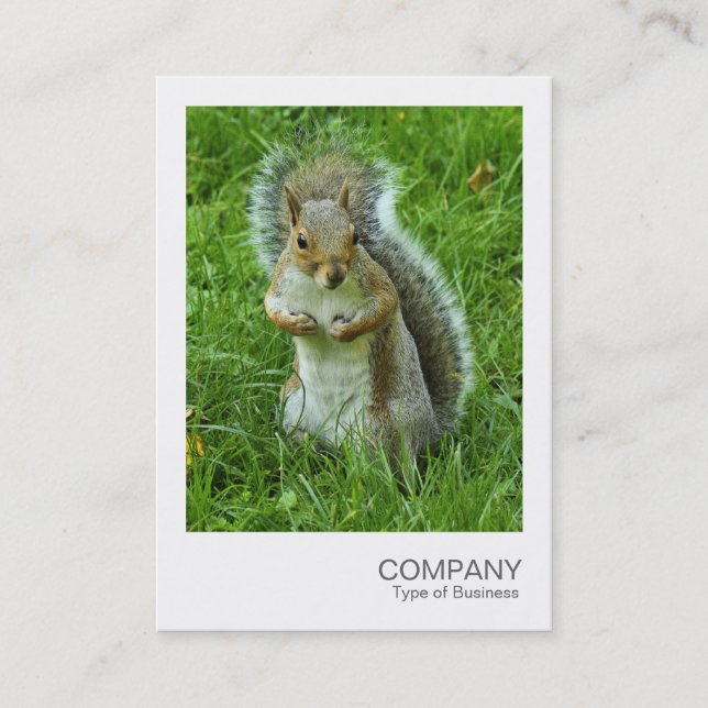 Instant Photo - Startled Grey Squirrel Business Card (Front)
