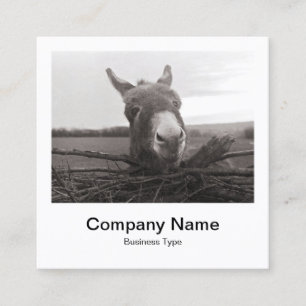 Instant Photo Style - Company - Donkey Square Business Card
