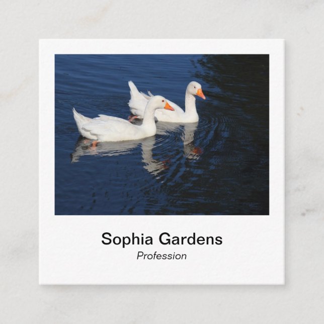 Instant Photo Style - Emden Geese Square Business Card (Front)