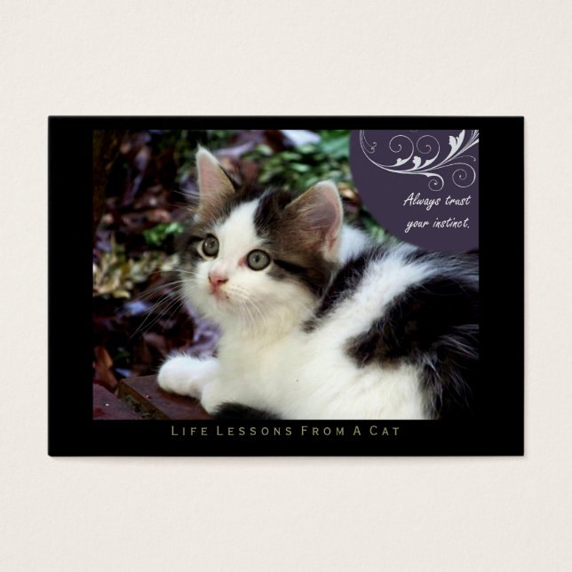 Instinct Life Lessons From a Cat ACEO Art Cards (Front)