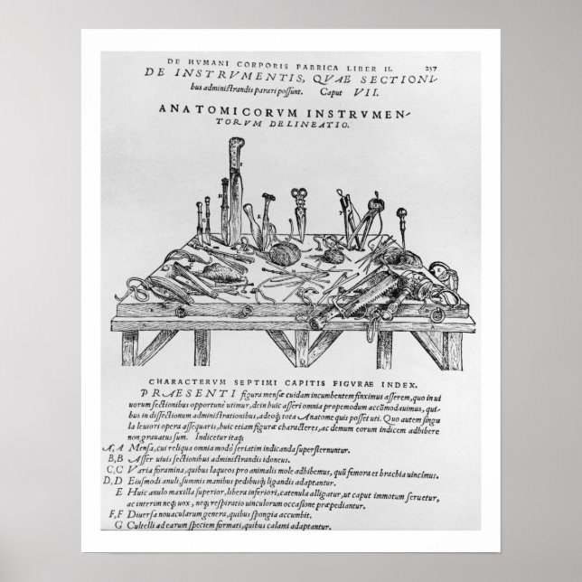 Instruments for Dissections, illustration from 'De Poster (Front)