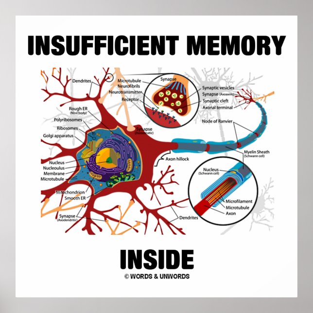 Insufficient Memory Inside (Neuron / Synapse) Poster (Front)