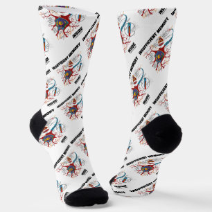 Insufficient Memory Inside (Neuron / Synapse) Socks