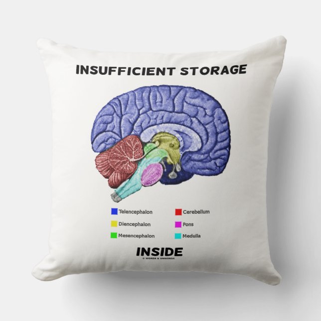 Insufficient Storage Inside Brain Anatomy Humour Cushion (Front)