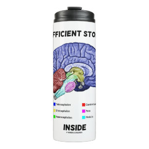 Insufficient Storage Inside Brain Anatomy Humour Thermal Tumbler