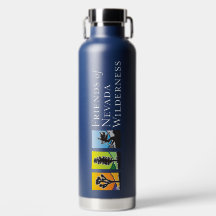 Insulated Water Bottle