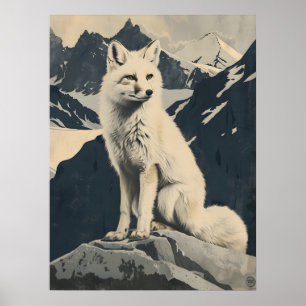 intage Illustration of the Arctic Fox Poster