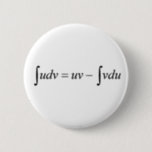 Integral Calculus 6 Cm Round Badge<br><div class="desc">For the math geek you love</div>