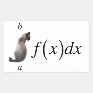 Integral cat rectangular sticker