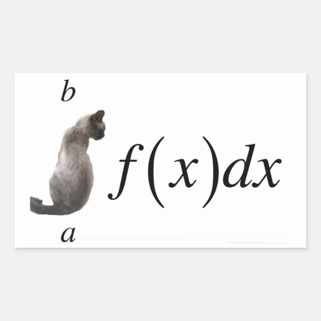 Integral cat rectangular sticker (Front)