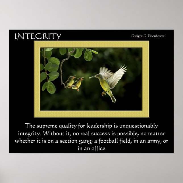 INTEGRITY Hummingbird  Posters (Front)