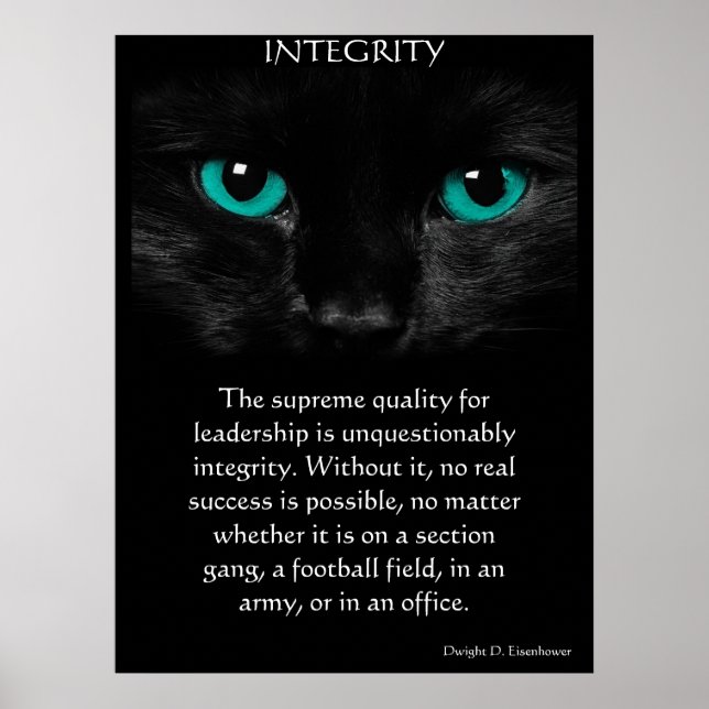INTEGRITY Posters (Front)