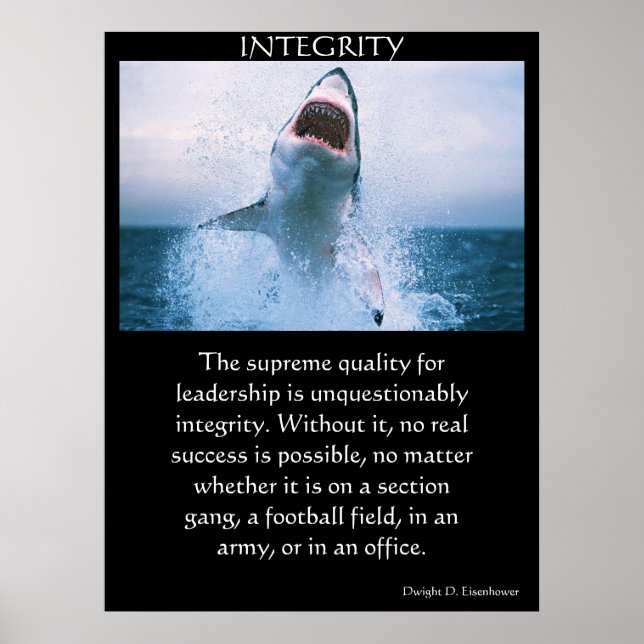 INTEGRITY Posters (Front)