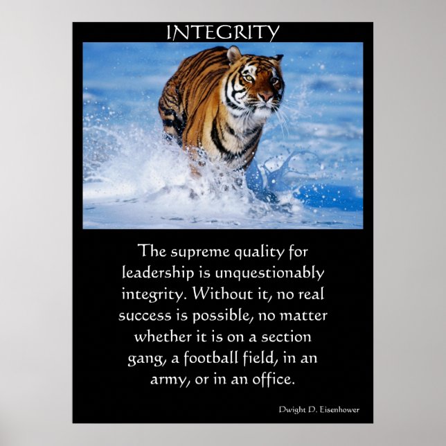 INTEGRITY Posters (Front)