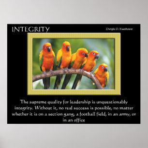 INTEGRITY Posters