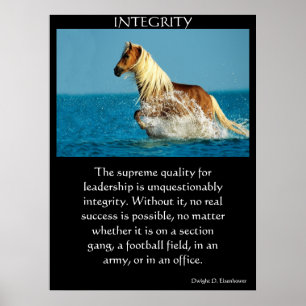INTEGRITY Posters