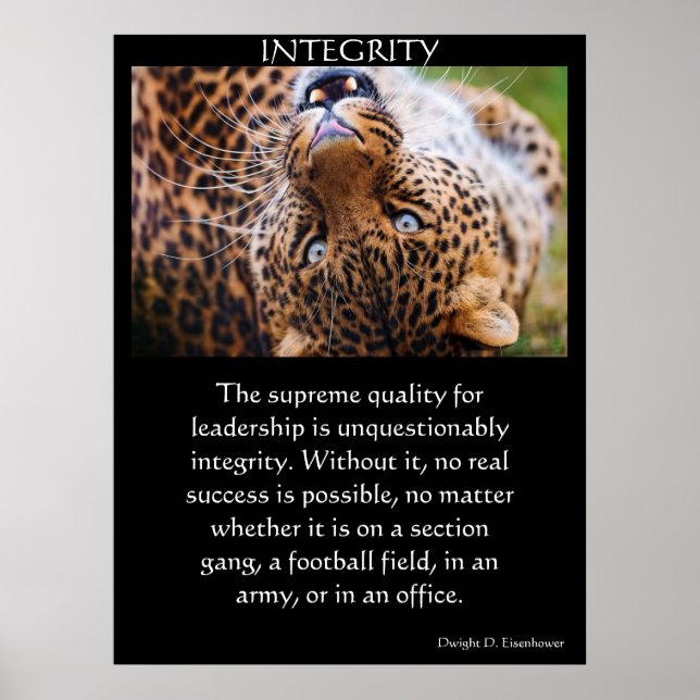 INTEGRITY Posters 31 (Front)