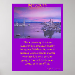 INTEGRITY Posters land 5
