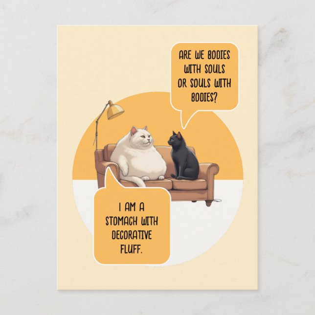 Intellectual Humor Cat Philosophy Funny Quote Postcard (Front)