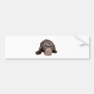 Intelligent Labrador Bumper Sticker