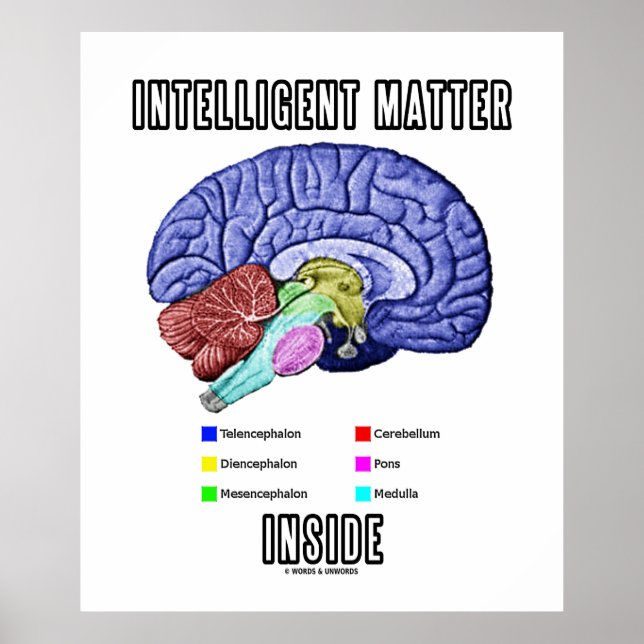 Intelligent Matter Inside (Anatomical Brain Humor) Poster (Front)