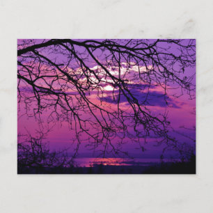 Intense and Vivid - Purple Sunset Landscape Postcard
