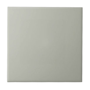 Intense Austere Grey Square Kitchen and Bathroom Ceramic Tile
