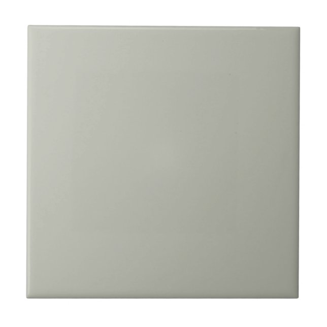 Intense Austere Grey Square Kitchen and Bathroom Ceramic Tile (Front)