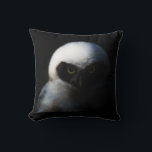 Intense Baby Owl Cushion<br><div class="desc">This is one intense bird! Cute fuzzy baby owl with soft white feathers. He has an intense piercing gaze, his eyes are bright yellow. This spectacled owl has a black face with the black markings shaped like a mask. The lighting in this photo has the owl partially in the shadows...</div>