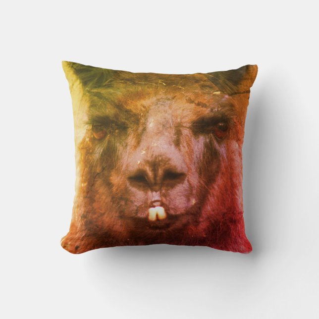Intense Black Llama Face Close Up Abstract  Cushion (Front)