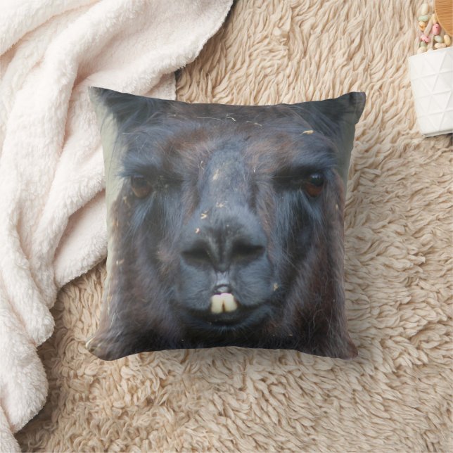 Intense Black Llama Face Close Up  Cushion (Blanket)