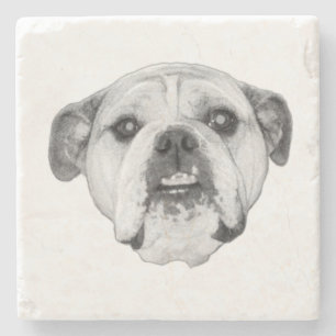 Intense bulldog stare in bold monochrome stone coaster
