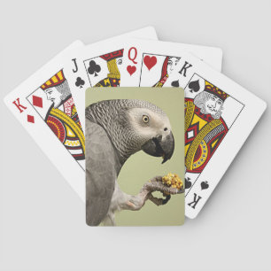 Intense Congo African Gray Parrot Snacking Playing Cards