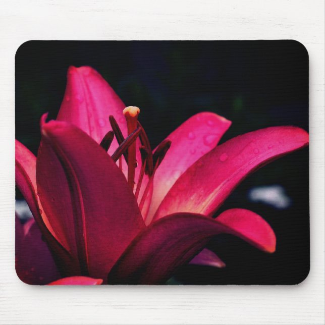 Intense Daylily Flower  Mouse Pad (Front)