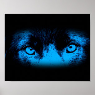 Intense Dog Eyes In Blue Poster