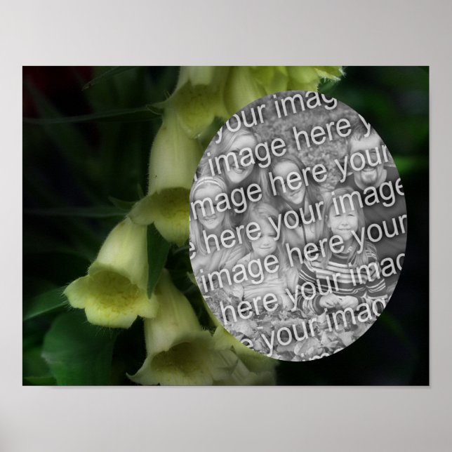 Intense Foxglove Flowers Frame Add Your Photo Poster (Front)