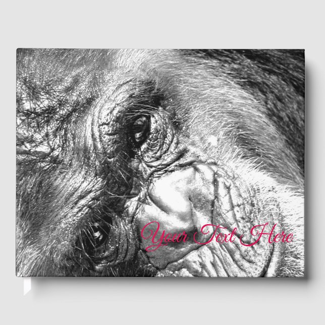 Intense Gaze Guest Book (Front)