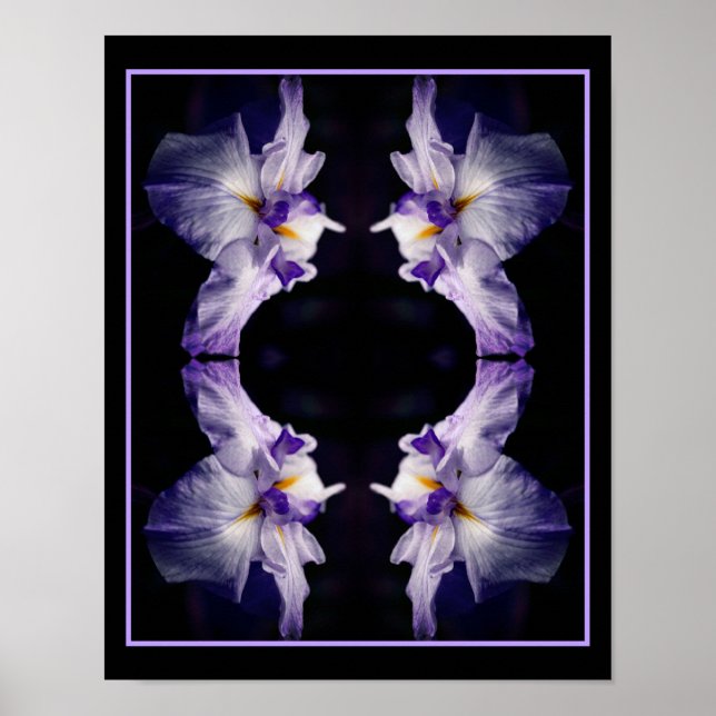Intense Japanese Iris Flower Close Up Abstract Poster (Front)