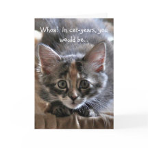 Intense Kitten Happy Birthday Card
