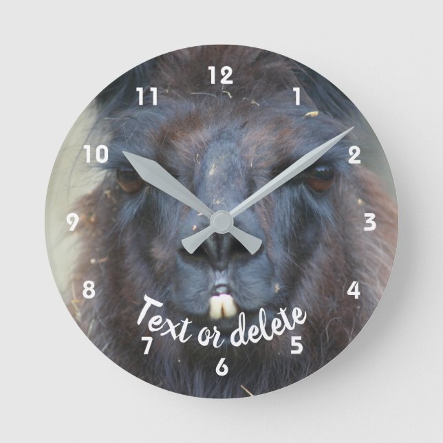 Intense Llama Face Close Up Personalized  Round Clock (Front)