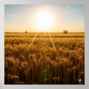 Intense Noontime Sun Poster