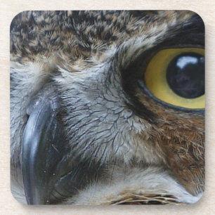 Intense Owl Coaster