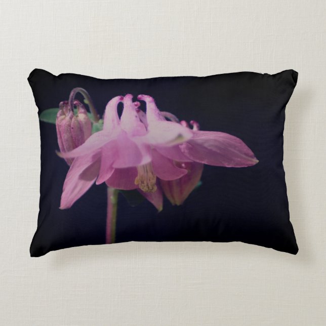 Intense Pink Columbine Flower Close Up  Decorative Cushion (Front)