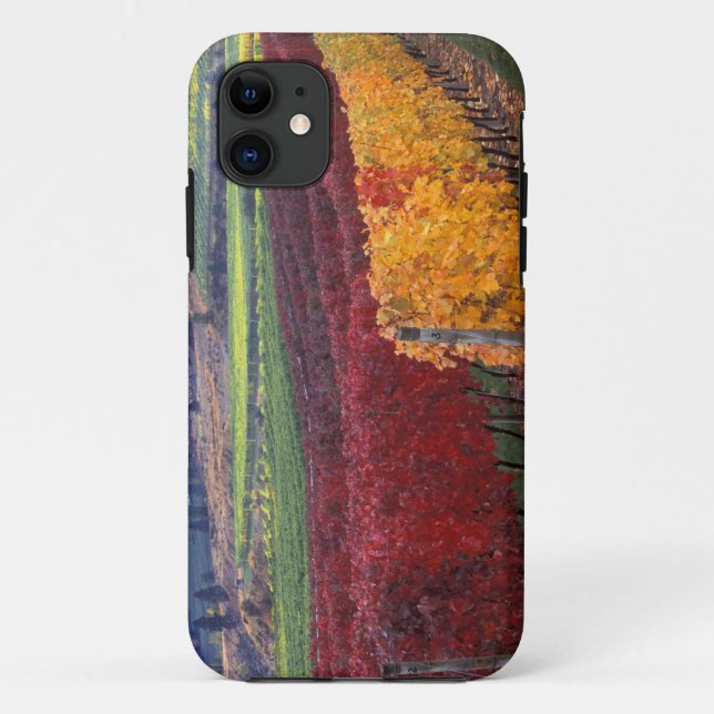 Intense red and yellow fall colours on Gehring Case-Mate iPhone Case (Back)