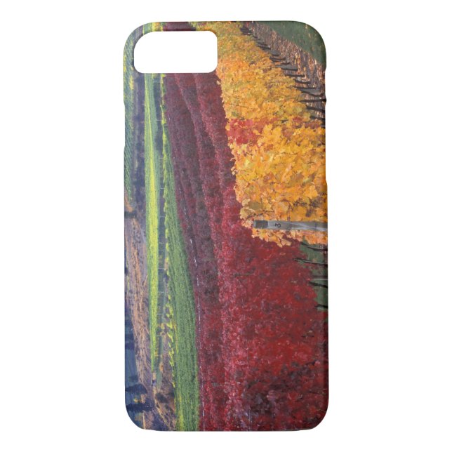 Intense red and yellow fall colours on Gehring Case-Mate iPhone Case (Back)