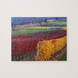 Intense red and yellow fall colours on Gehring Jigsaw Puzzle