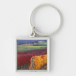 Intense red and yellow fall colours on Gehring Key Ring