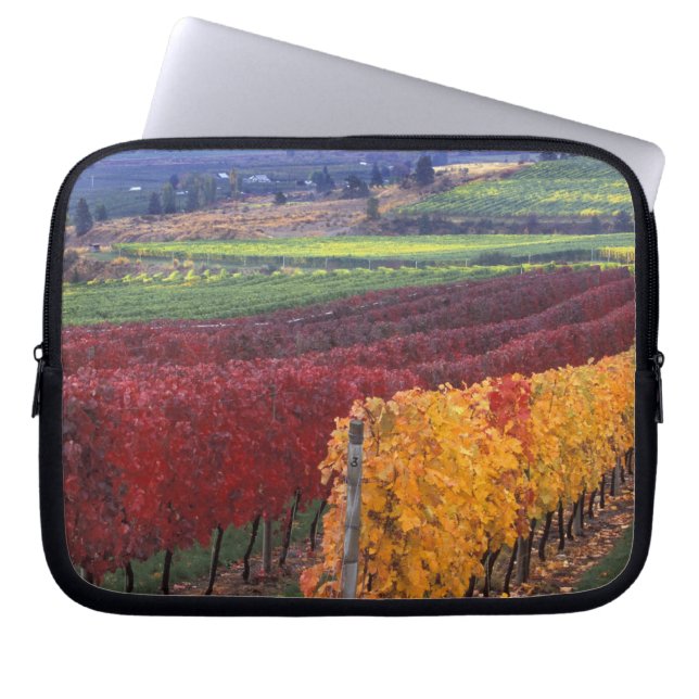 Intense red and yellow fall colours on Gehring Laptop Sleeve (Front)